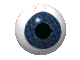 eye_ball.gif (26986 Byte)