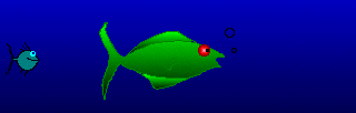 fish456.gif (41453 bytes)