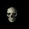 skull.gif (10526 Byte)