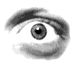 eye03.gif (8965 bytes)
