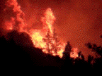 fire2.gif (44654 bytes)