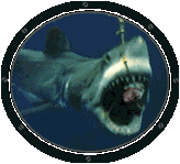 shark.gif (24657 bytes)