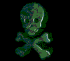 skull.gif (21800 bytes)