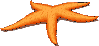 starfish.gif (3794 bytes)