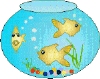 fishbowl3.gif (47771 bytes)