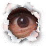 Eyeflash.gif (15346 bytes)