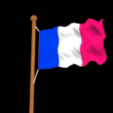 Flaggen(Frankreich).gif (32456 bytes)