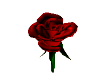 Love(Rose).gif (38979 bytes)