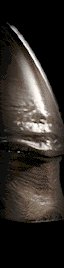 alienhead.gif (36035 bytes)