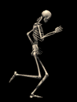 bones.gif (136540 bytes)
