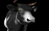 cow.gif (7869 bytes)