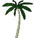 palmtree.gif (6865 bytes)