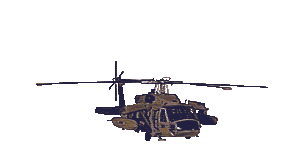 blackhawk.gif (64539 bytes)