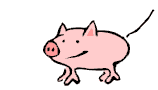 newani_pig.gif (2641 bytes)