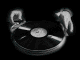 turntabl.gif (19711 bytes)