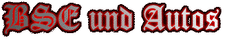 BSE und Autos